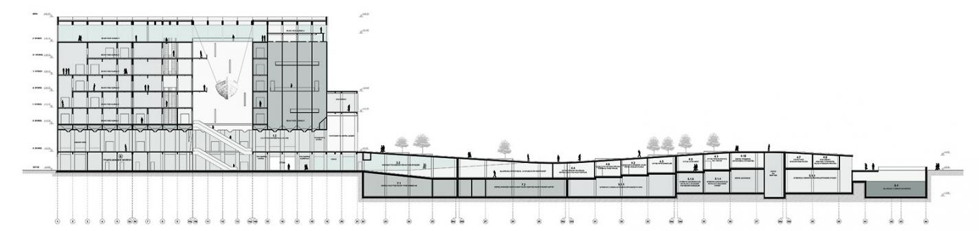 section