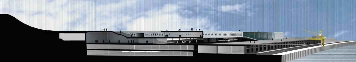 section